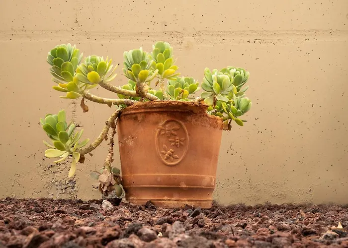 Casa De Marina * San Miguel de Abona