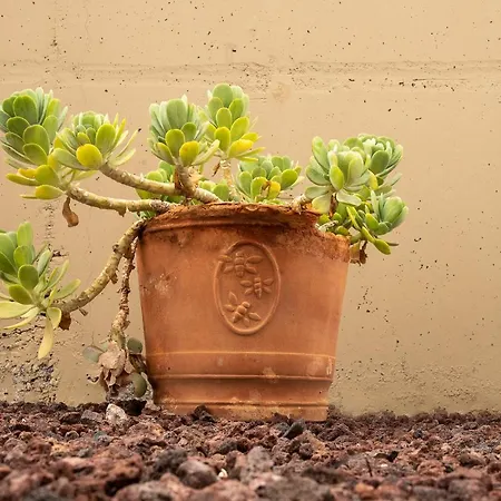 Casa De Marina * San Miguel de Abona